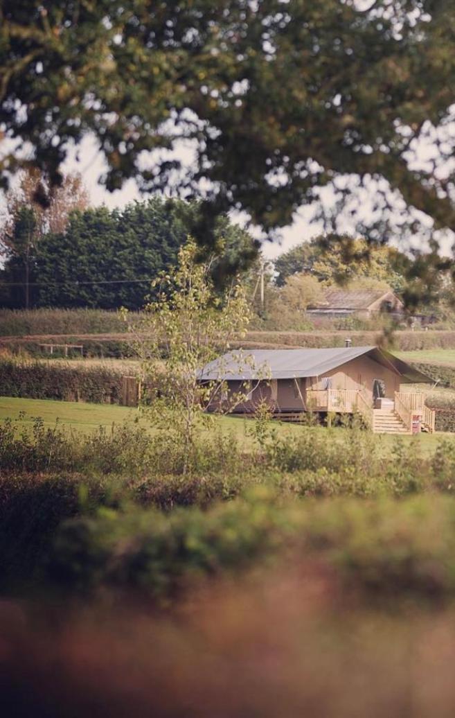 Midleydown Luxury Glamping * Exeter